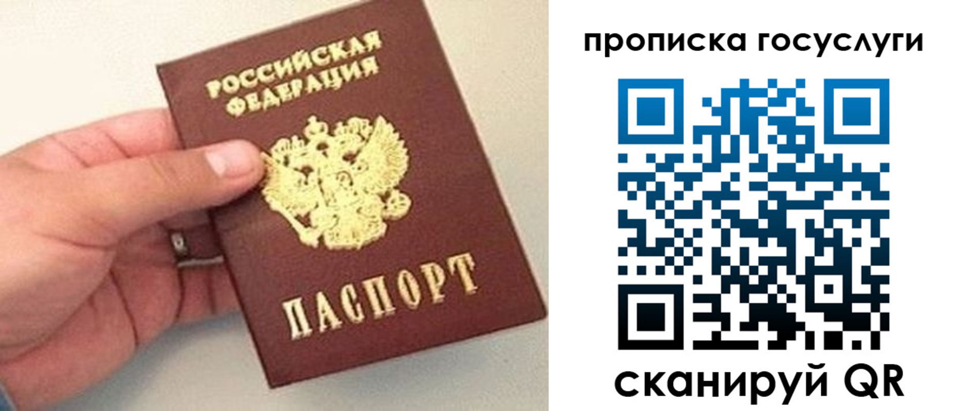где прописаться в Шахунье